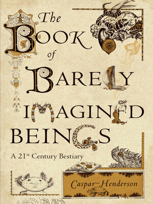 cover image of The Book of Barely Imagined Beings
